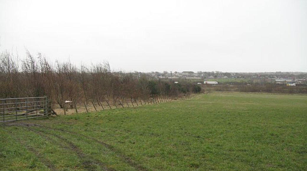 Reclaimed land , Whitburn View over flat fields on what was once mine workings towards the traffic on the M8.