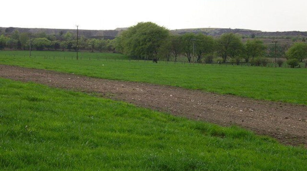 Cairnie. Fast growing spring grass before the edge of the vast field of mine waste from Polkemmet Colliery.