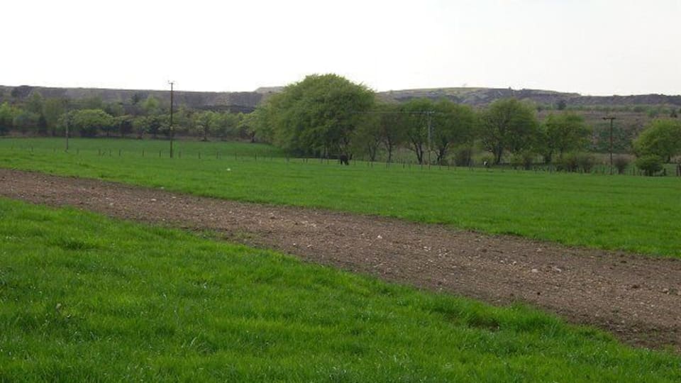Cairnie. Fast growing spring grass before the edge of the vast field of mine waste from Polkemmet Colliery.