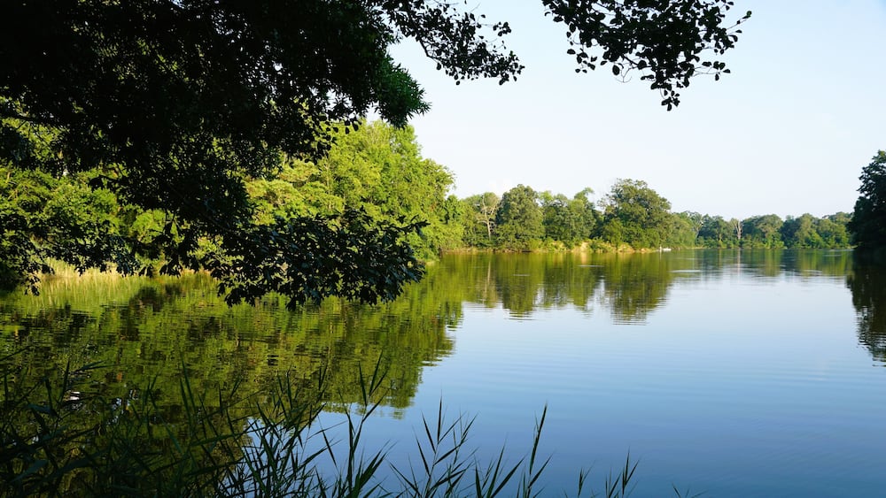 Tranquil canal framed by lush greenery near Wye Island State Park, Queenstown, Maryland, U.S