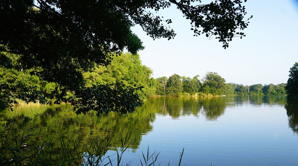 Tranquil canal framed by lush greenery near Wye Island State Park, Queenstown, Maryland, U.S