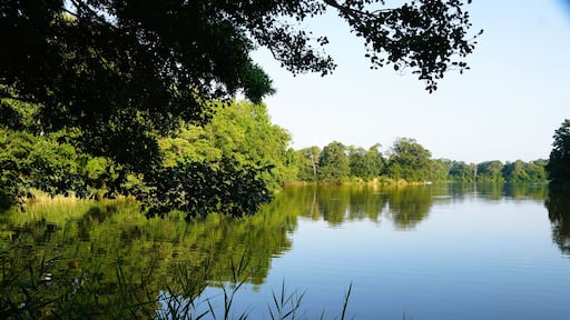 Tranquil canal framed by lush greenery near Wye Island State Park, Queenstown, Maryland, U.S