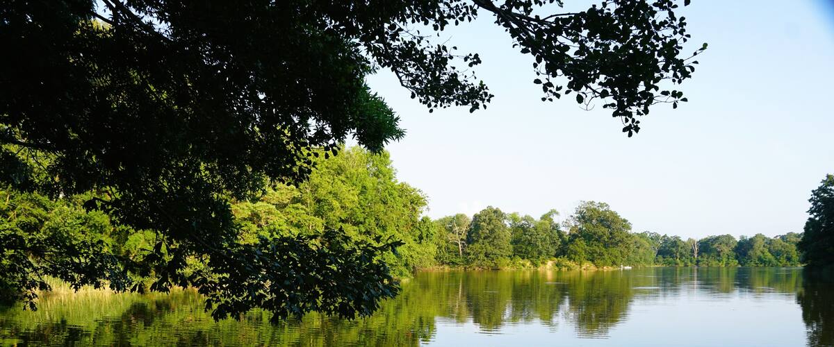 A calm lake surrounded by dense green trees.
