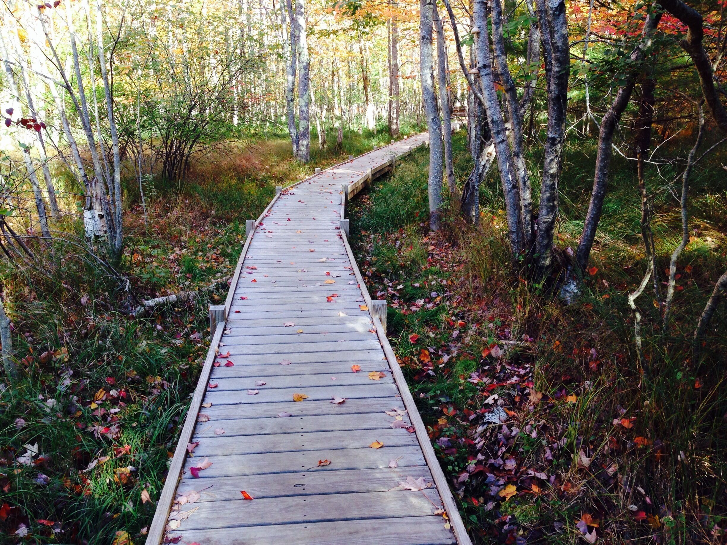 First day in Acadia National Park