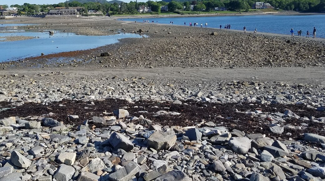 This sand bar between Bar Harbor and Bar Island is only above water for 90 minutes before and after low tide. A nice short hike on the island, but get back in time or you're stuck on the island.