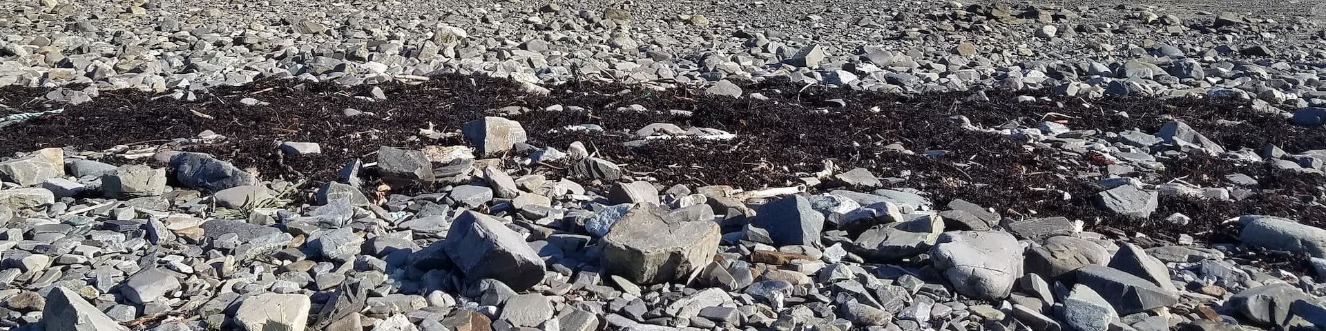This sand bar between Bar Harbor and Bar Island is only above water for 90 minutes before and after low tide. A nice short hike on the island, but get back in time or you're stuck on the island.