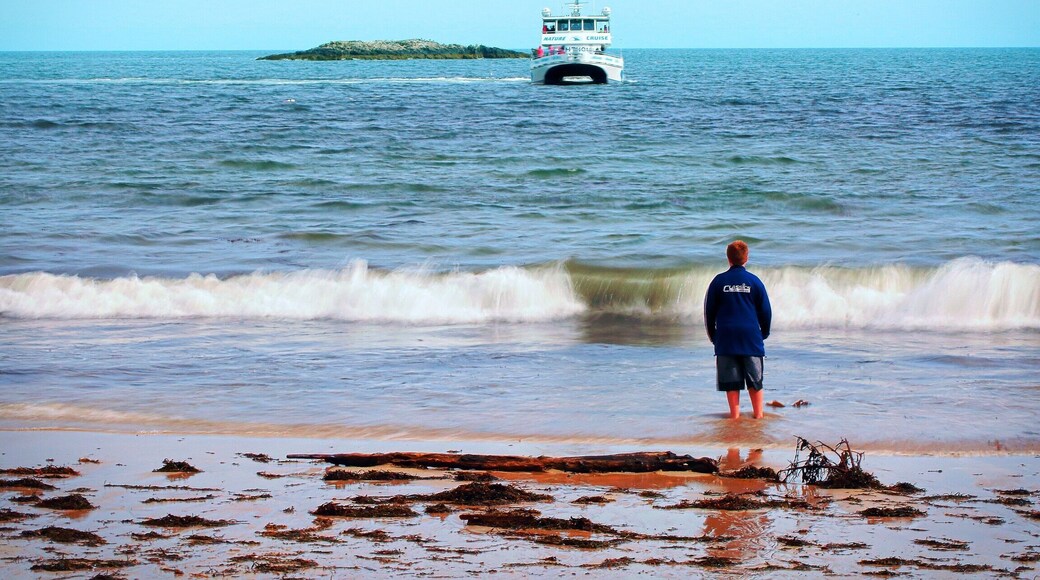 Gentle waves all the way and rocky cliffs on the side , play, bathe, click .... plenty to do at this jewel of Acadia