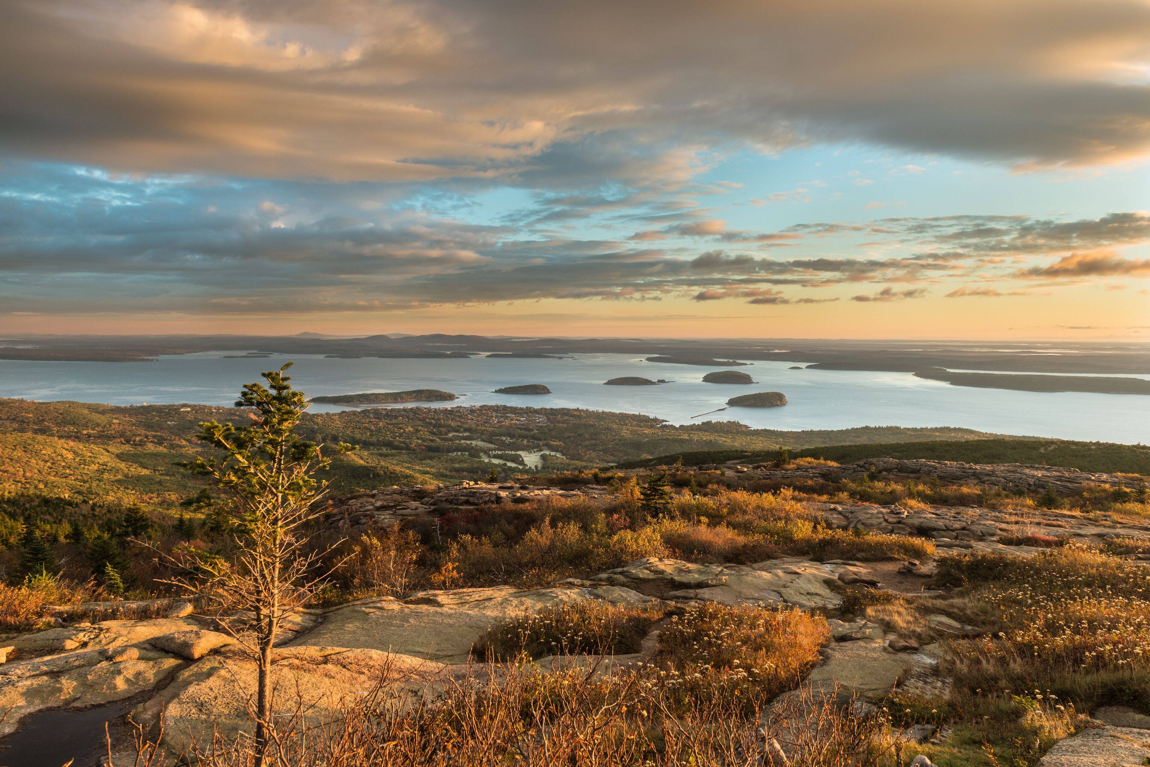 A coastal landscape with rocky terrain, a small tree, and a distant view of islands across a body of water.