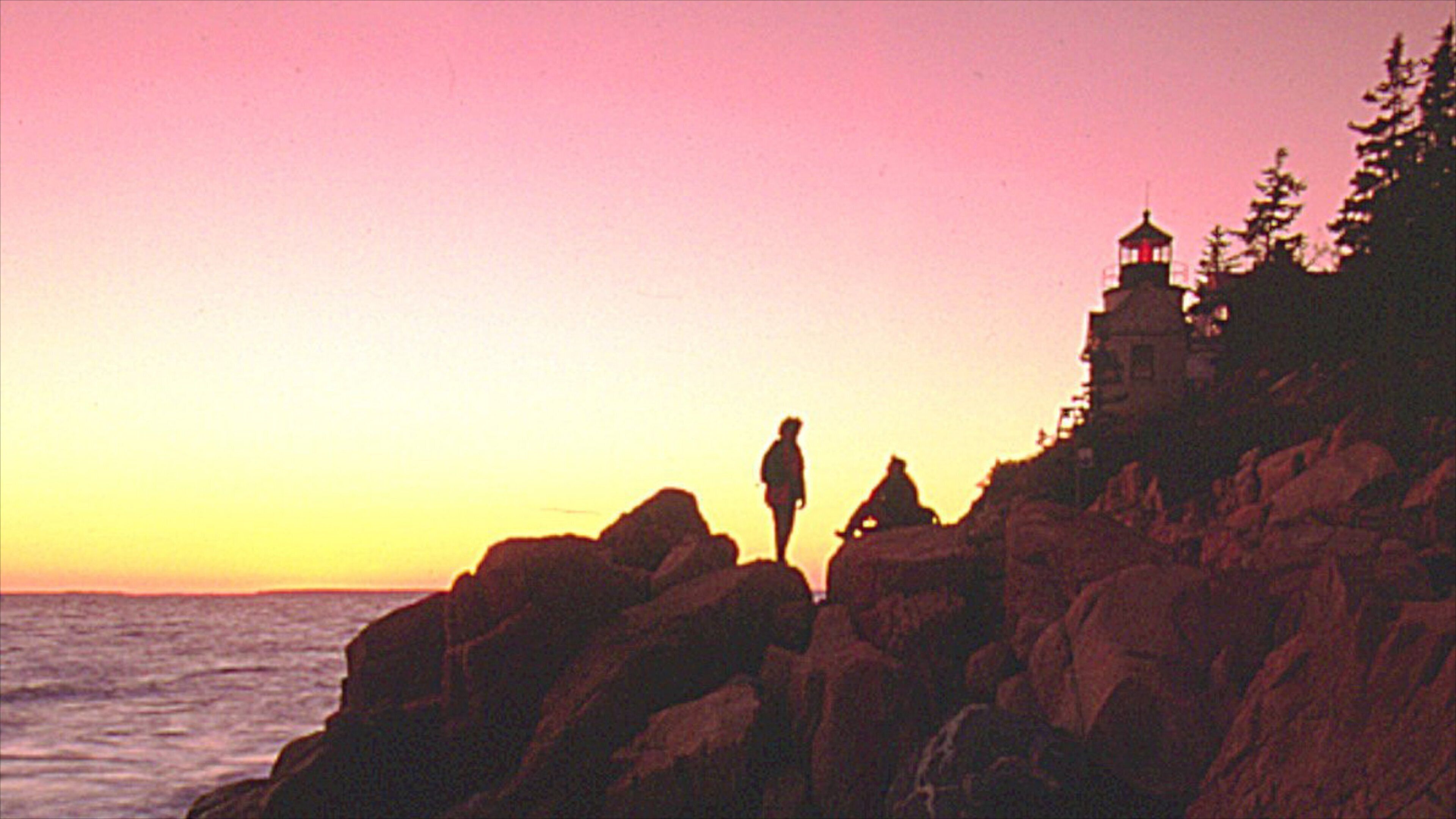 Bar Harbor showing a sunset and rugged coastline