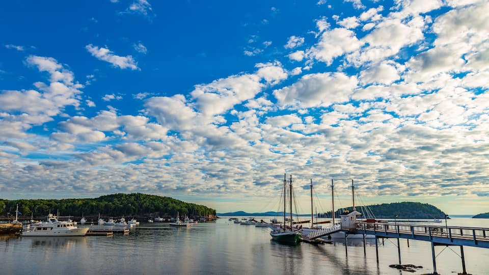 A marina with boats docked, a pier, and a forested hill in the background.