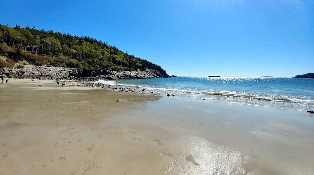 Sand Beach at Acadia National Park