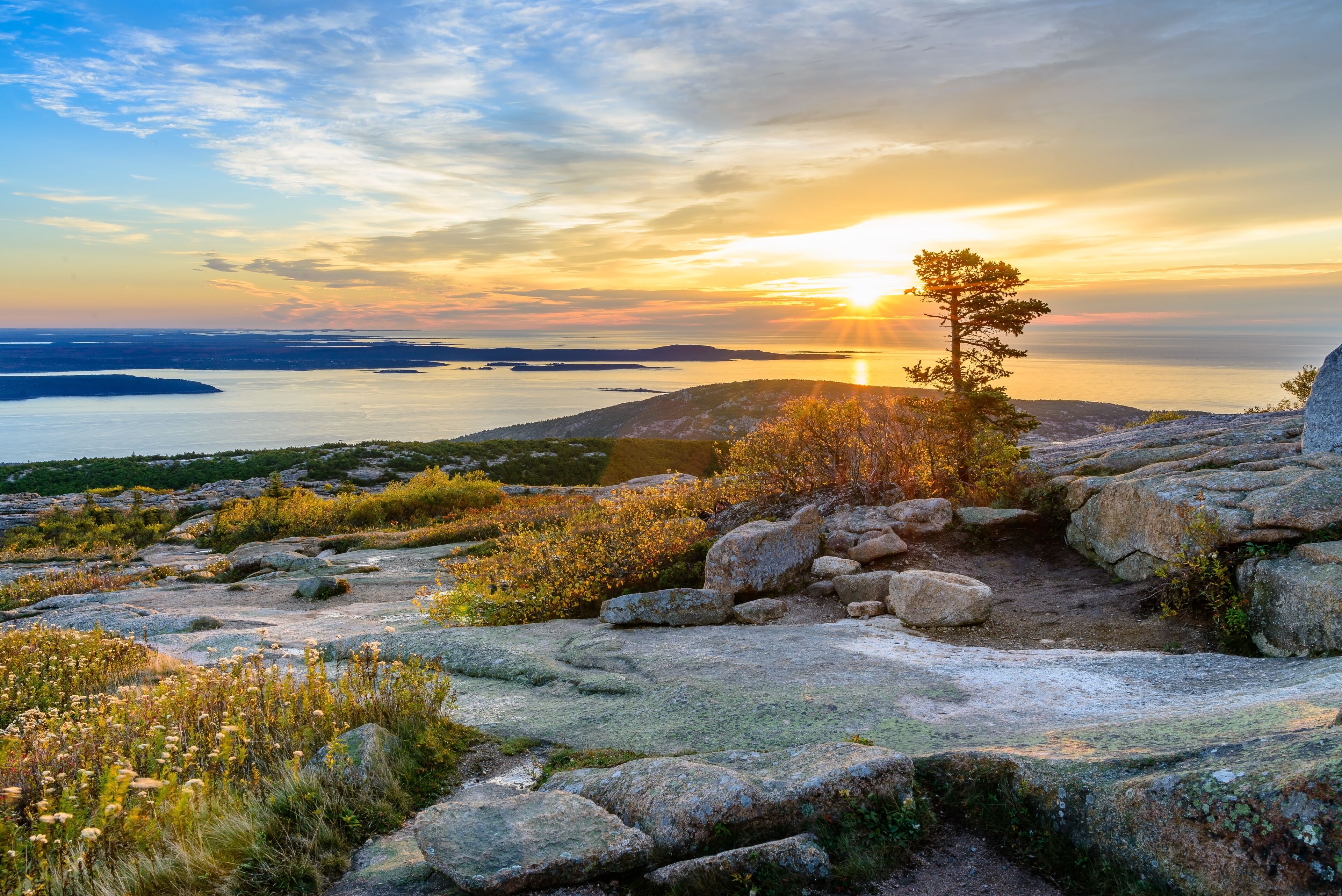 A sunset over a lake with a lone tree on a rocky outcrop.