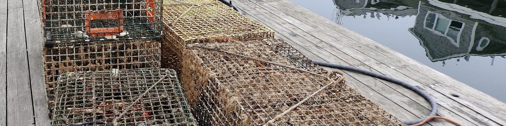 Lobster traps.