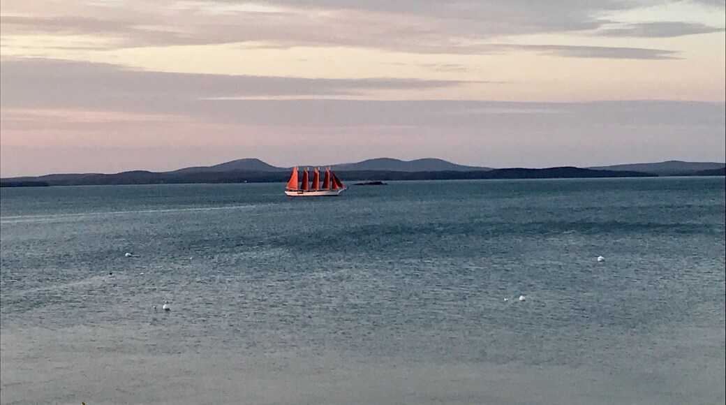 Painted sky sunset! #adventure #adventurephotocontest