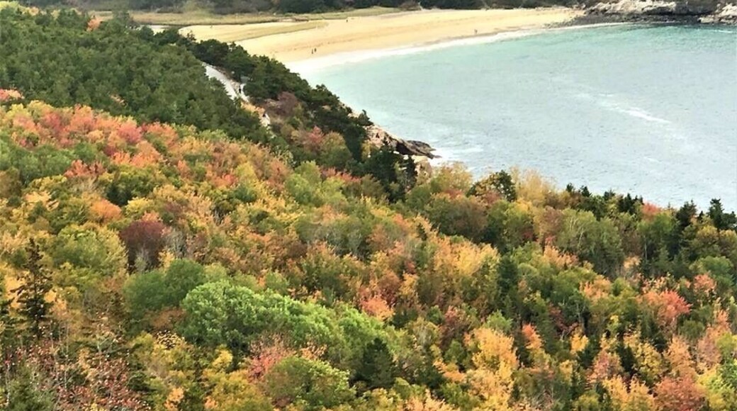 shot with an iPhone from Gorham Mountain trail.