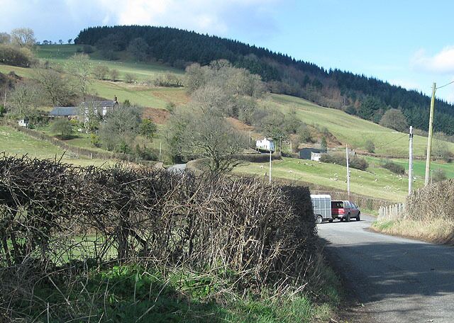On manoeuvres The farmer arrives to release ewes and lambs into the pasture.