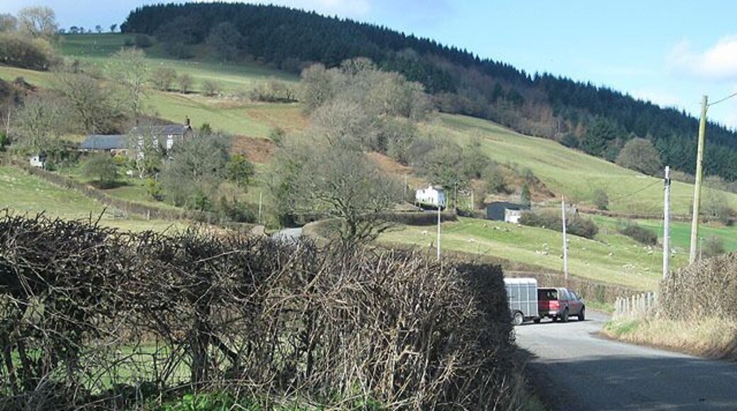On manoeuvres The farmer arrives to release ewes and lambs into the pasture.
