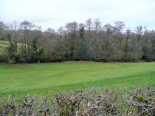 Um campo verde com árvores ao fundo.