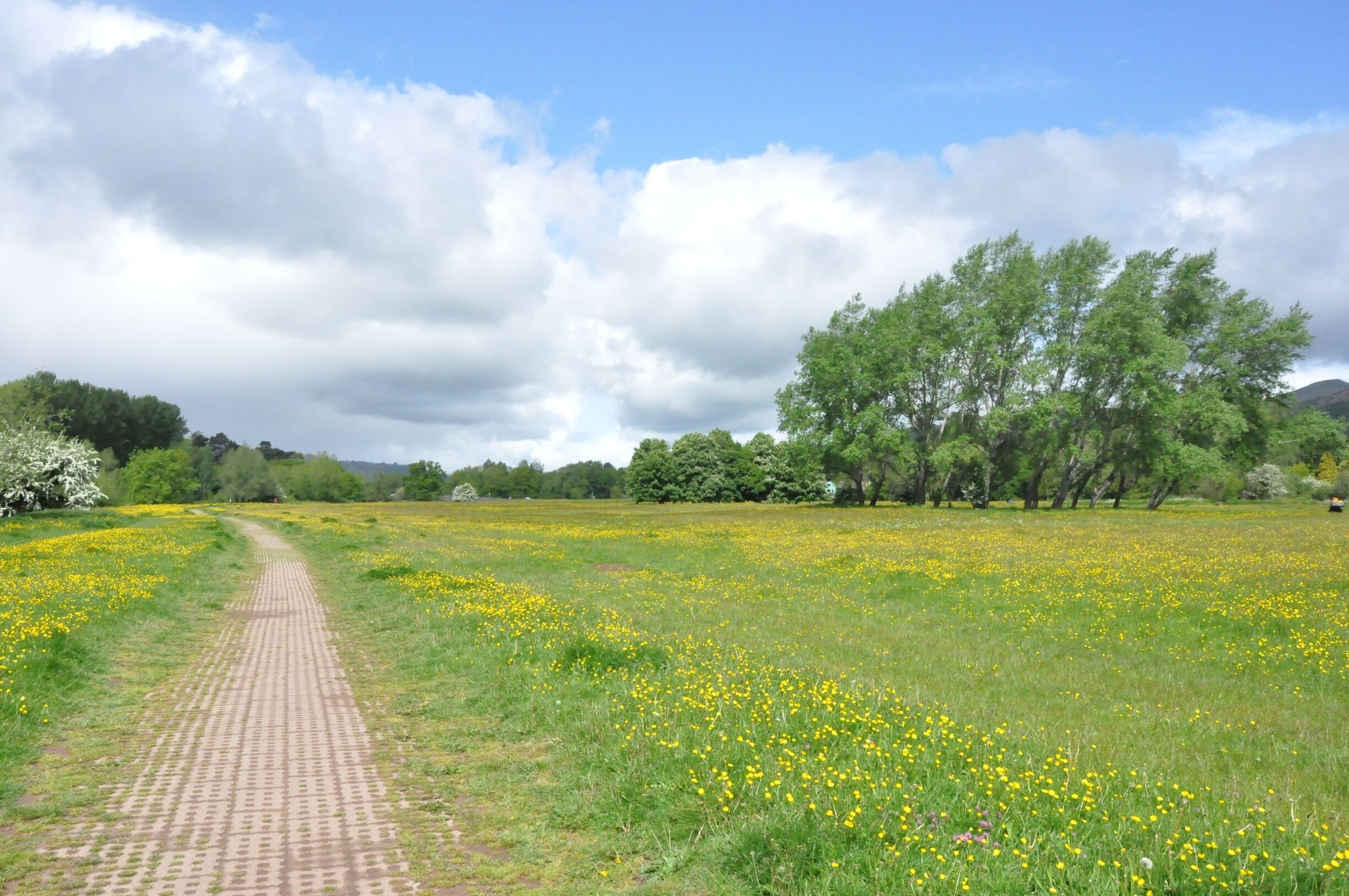 Abergavenny is a cute little town right on the edge of Brecon Beacons National Park, and the meadow along the River Usk is a great place to go for a walk.  There are paved paths and cut paths through the grass that wander along the river edge and around the ponds and groves of trees throughout the meadow.  I saw signs warning not to feed the horses or cows that graze in the meadow, which is freely accessible to the public, but the only animals there during my visit were happy dogs enjoying a romp without their leashes.