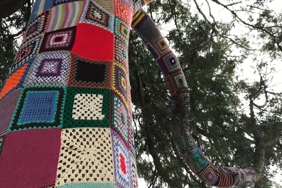 Un arbre enveloppé d'une couverture colorée en crochet.