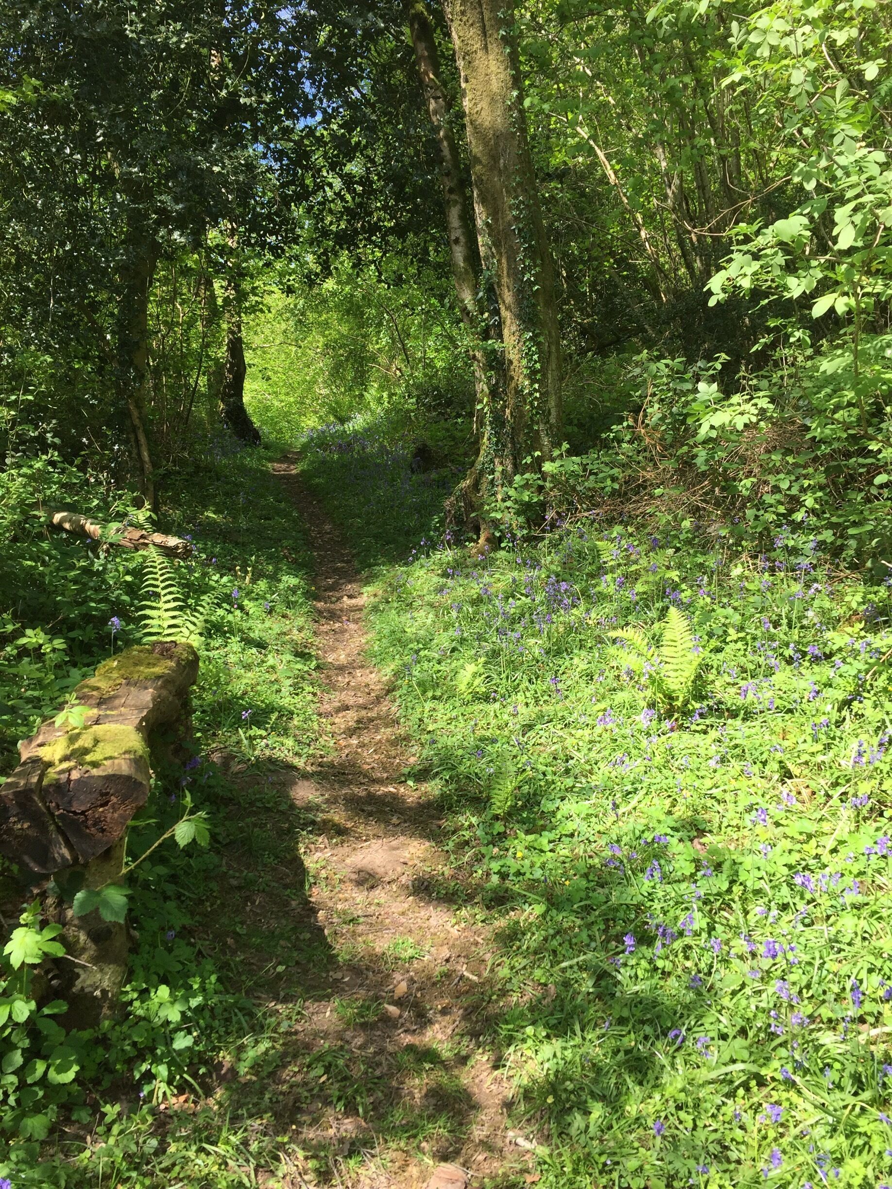Wonderful walking in Wales....