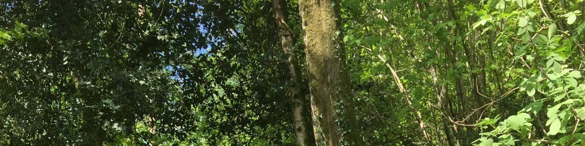 Wonderful walking in Wales....