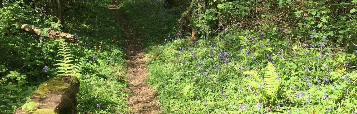 Wonderful walking in Wales....
