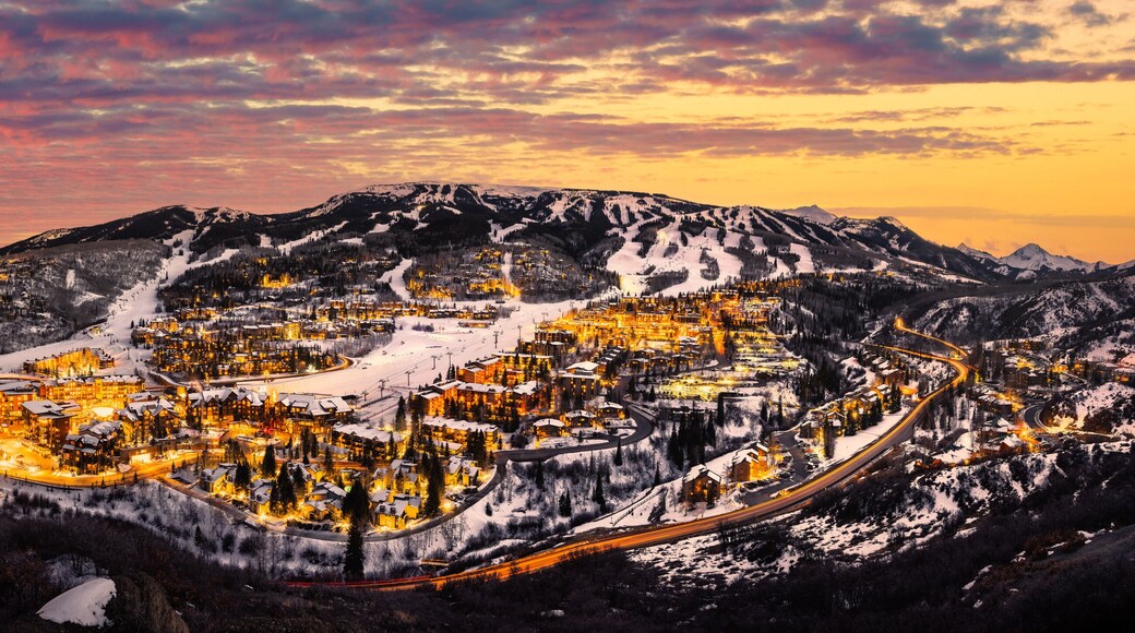 สโนว์แมสวิลเลจ