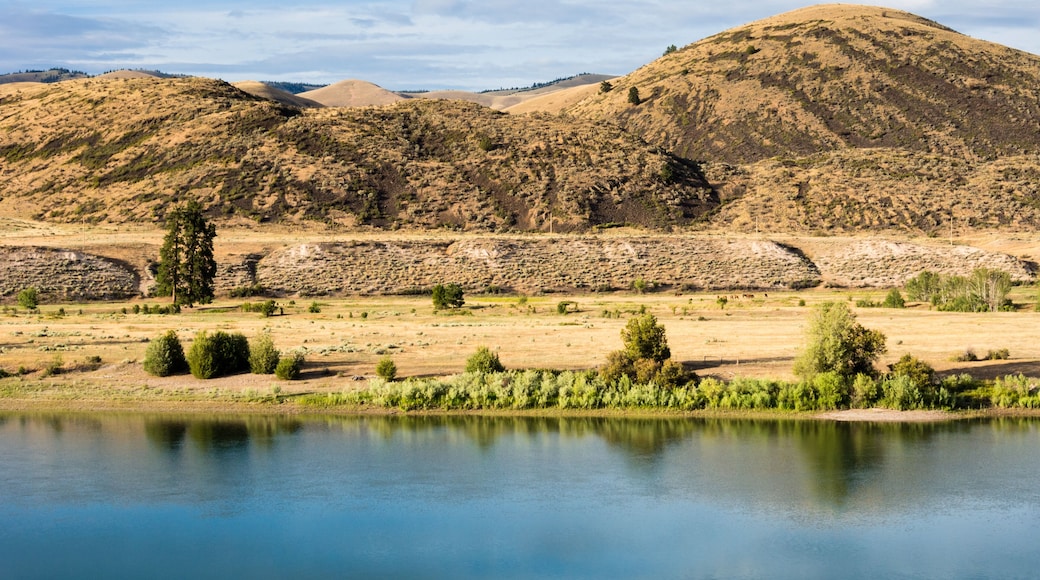 Scenic and wild Flathead river near Perma, Montana, USA