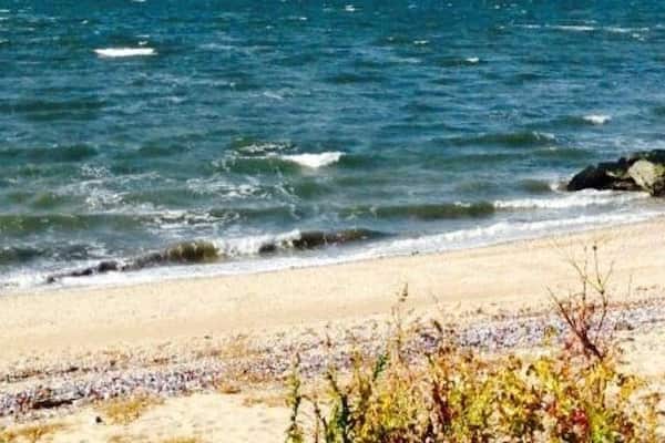 Beautiful fall weather from 2013 , view of Long Island sound!! Connecticut seen in the distance!