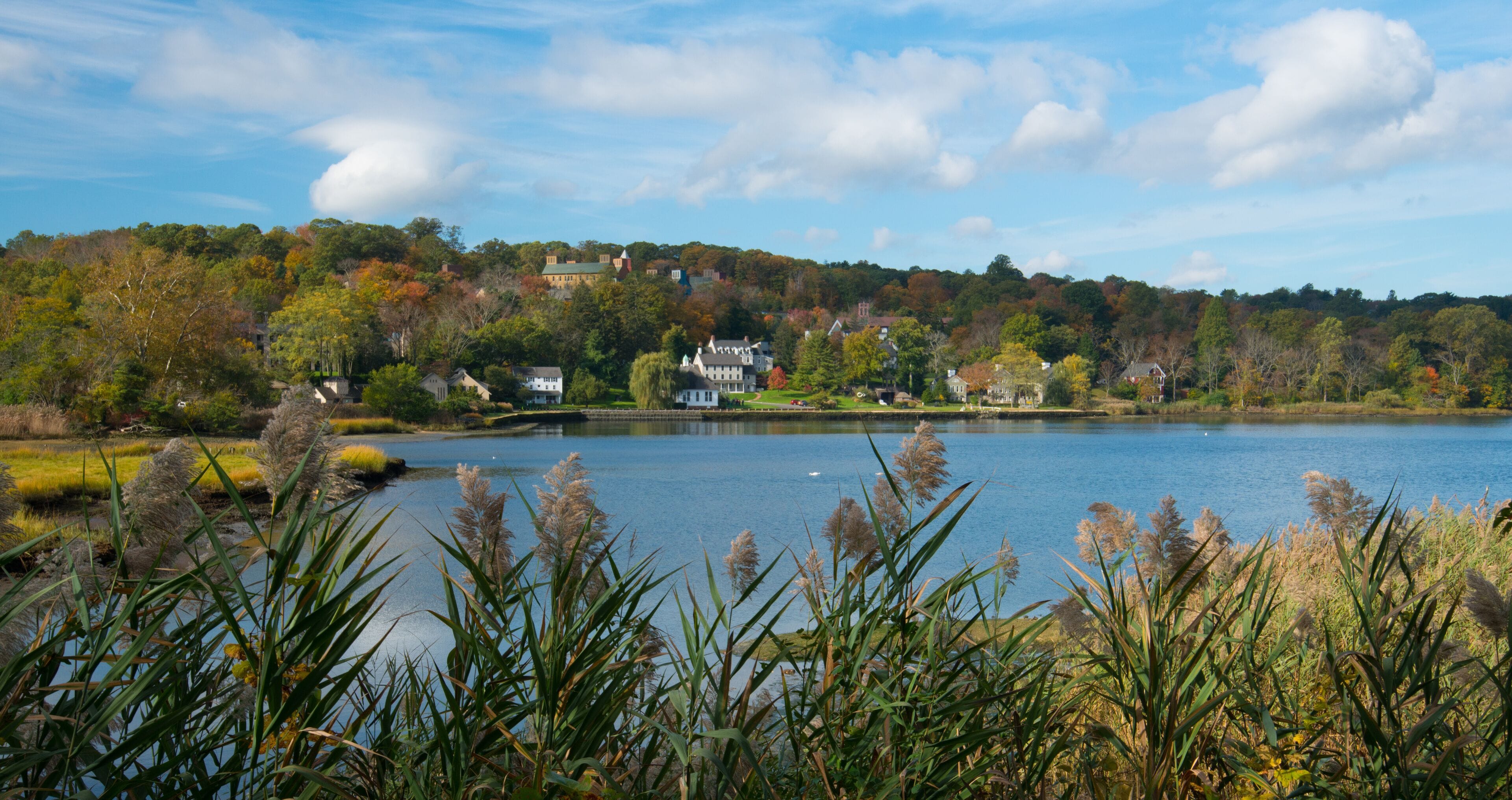 Cold Spring Harbor