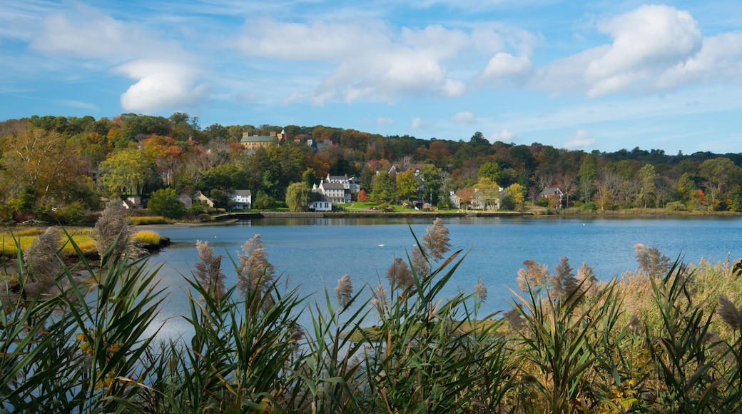 Cold Spring Harbor