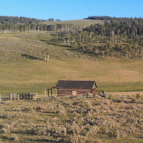 On state bridge rd near c-14