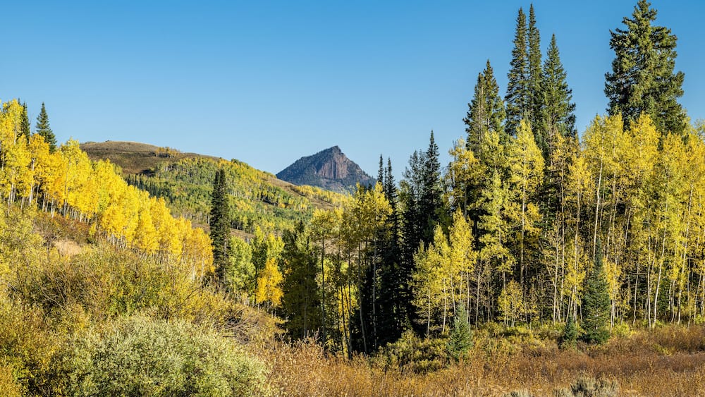 Fall foliage by Muddy Pass Lake