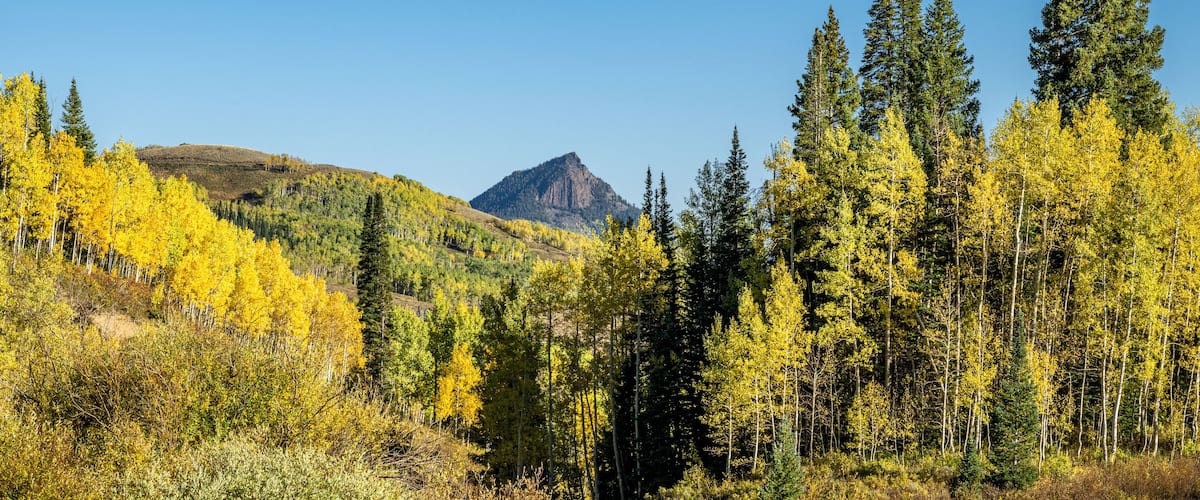 Fall foliage by Muddy Pass Lake