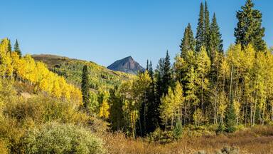 Fall foliage by Muddy Pass Lake