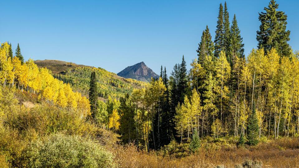 A mountainous landscape with yellow and green trees, a prominent rocky peak, and a clear blue sky.