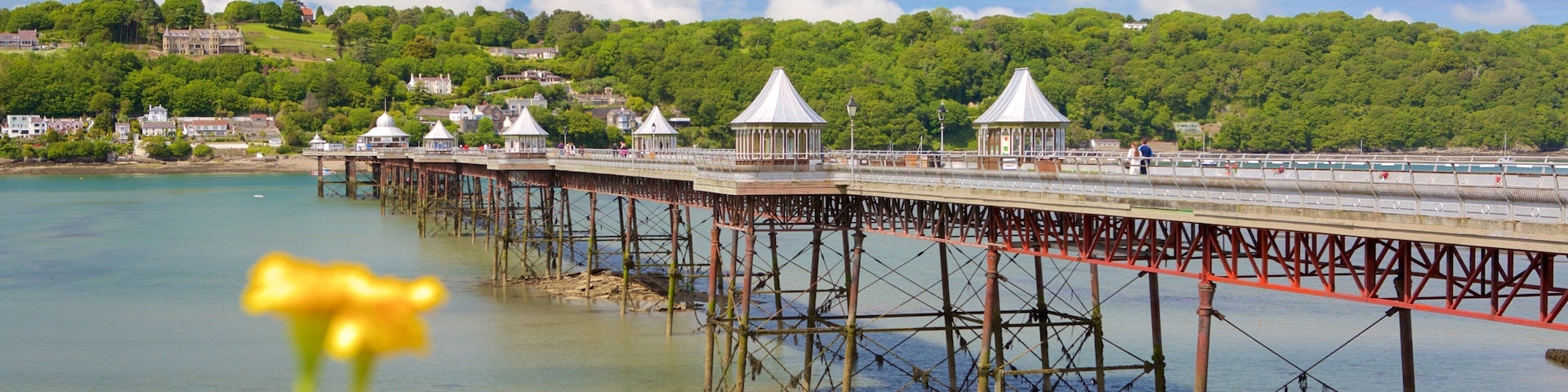 Bangor que incluye vista general a la costa