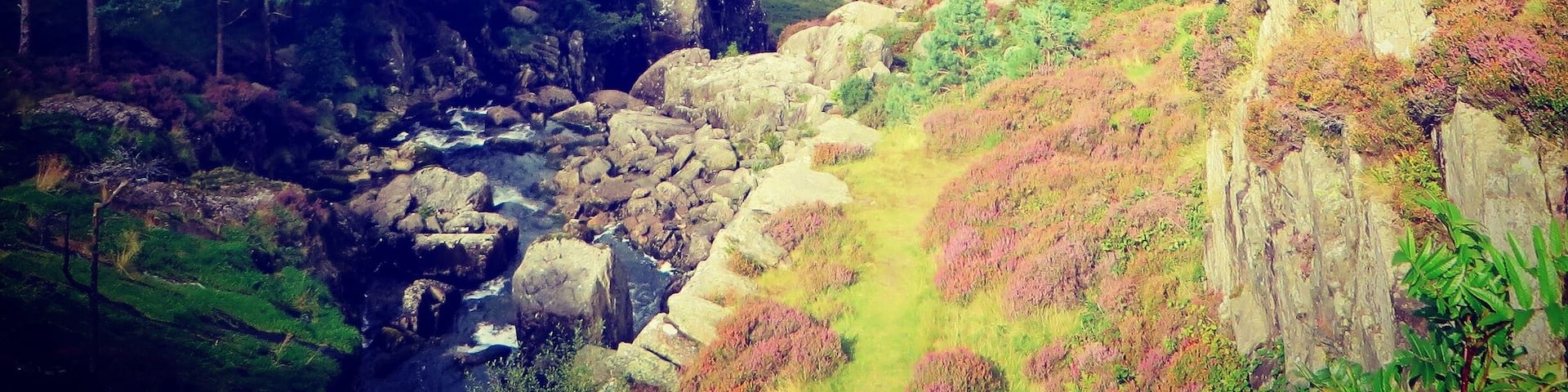 A mountainous landscape with a stream, dense forest, and rocky terrain.