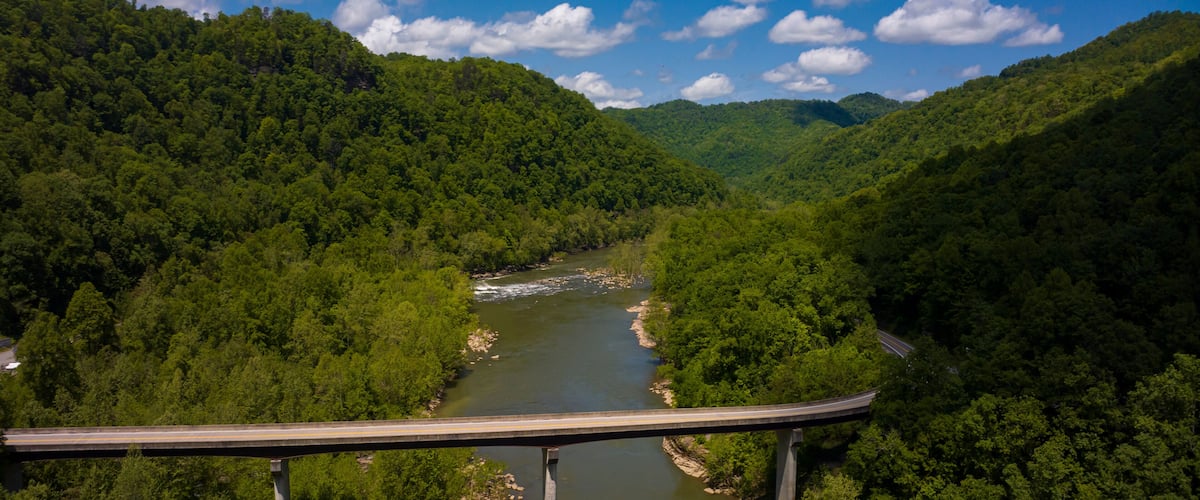 A bridge over a river surrounded by dense forest.
