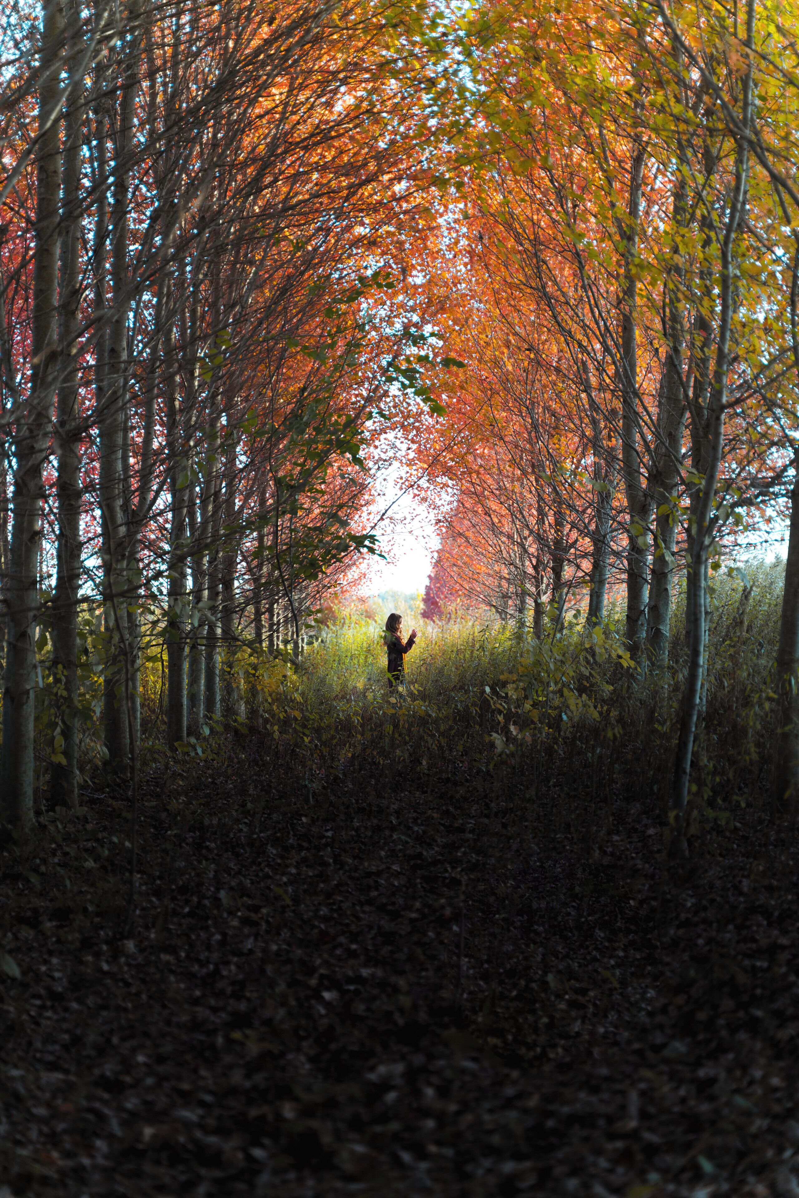 A little off the beaten path, you step into a fairytale. 

#mybackyard