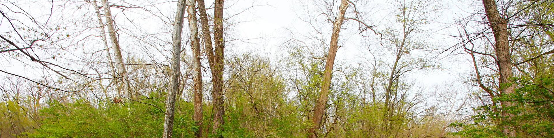 Confluence Area, Bluebell Trail, Three Creeks Metro Park, Columbus, Ohio