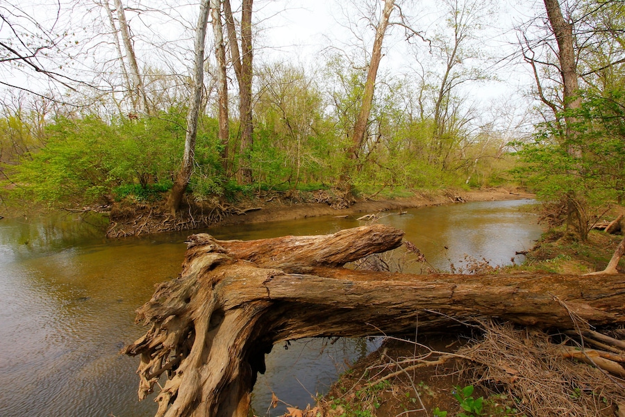 Confluence Area, Bluebell Trail, Three Creeks Metro Park, Columbus, Ohio