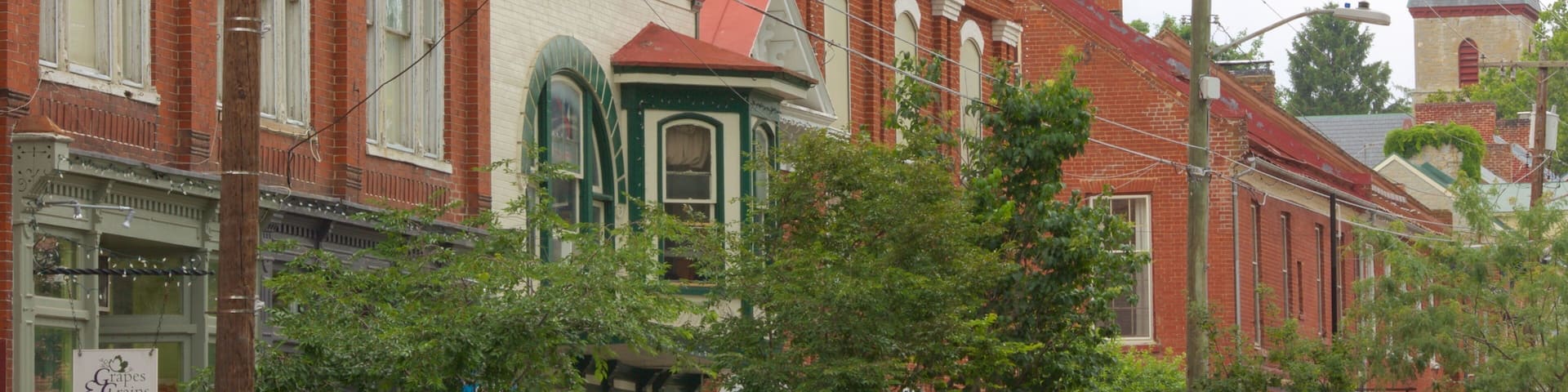 Shepherdstown showing a small town or village and heritage elements