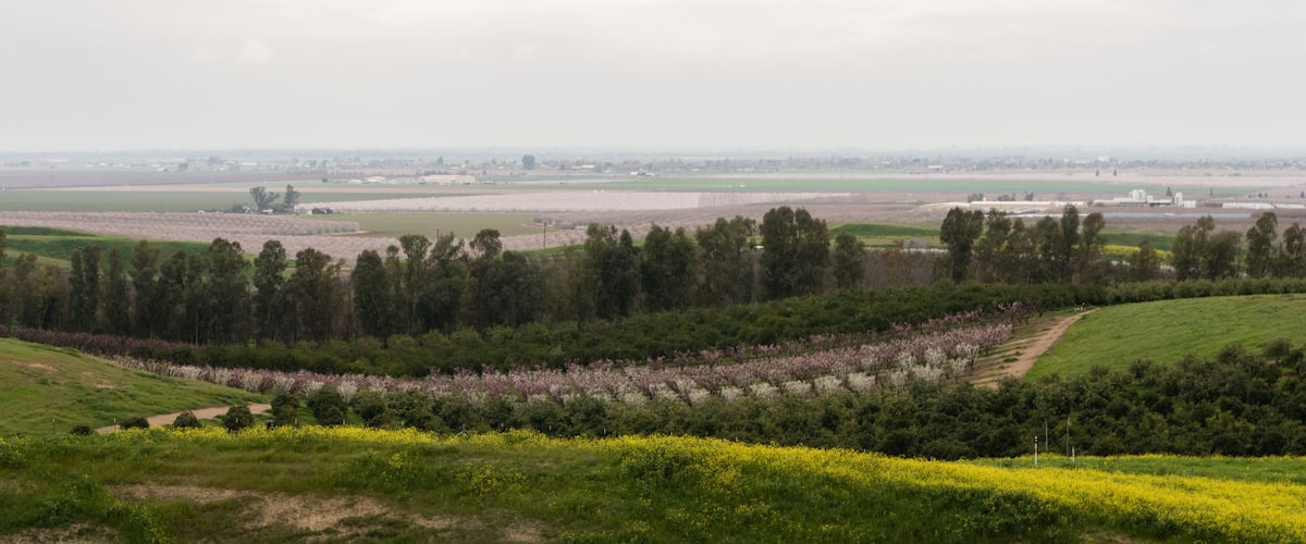 A rural landscape with fields, orchards, and distant buildings.