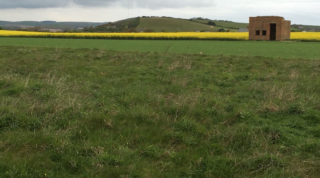 Beautiful views inland along the Isle of Wight coast path.