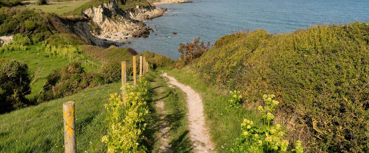 A coastal path with cliffs, a beach, and a distant town.