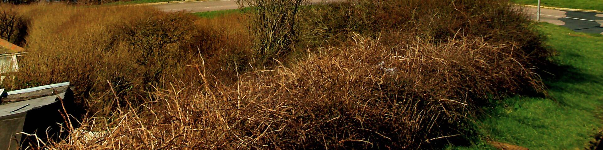 South coast of Isle of Wight