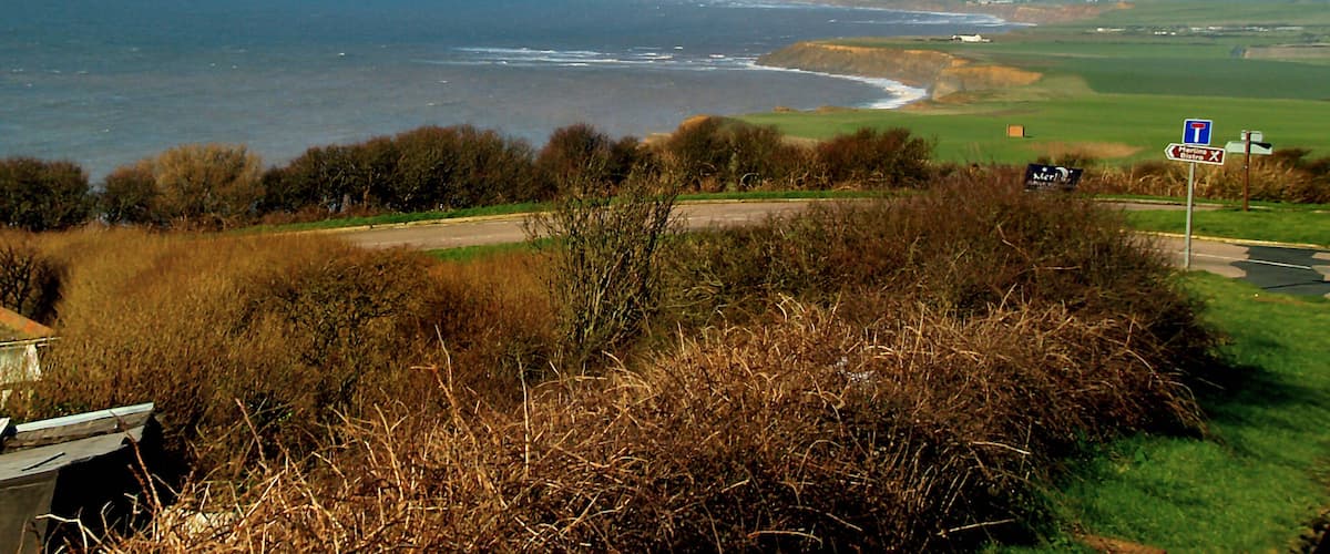 A coastal landscape with a sandy beach, grassy fields, and a distant snow-capped hill.