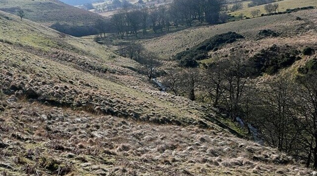 A valley with rolling hills and sparse vegetation.
